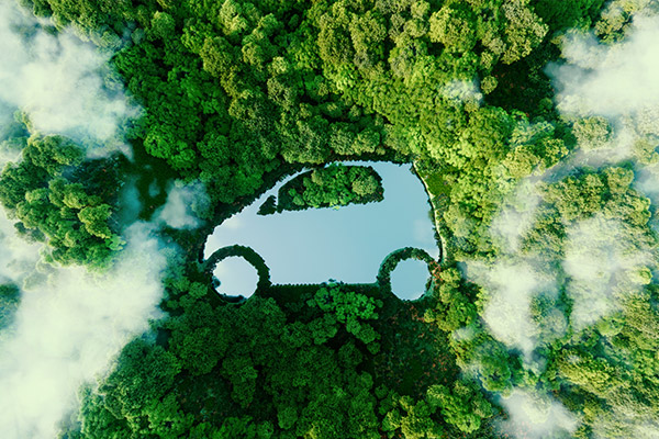 Protección del medio ambiente | CDA Converry
